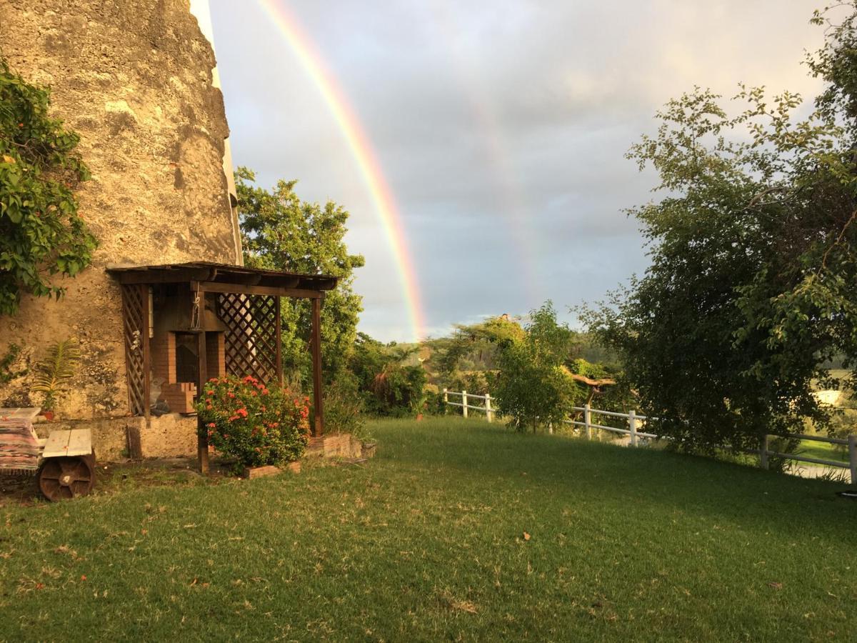 Villa du Moulin de Saint Félix Le Gosier  Esterno foto